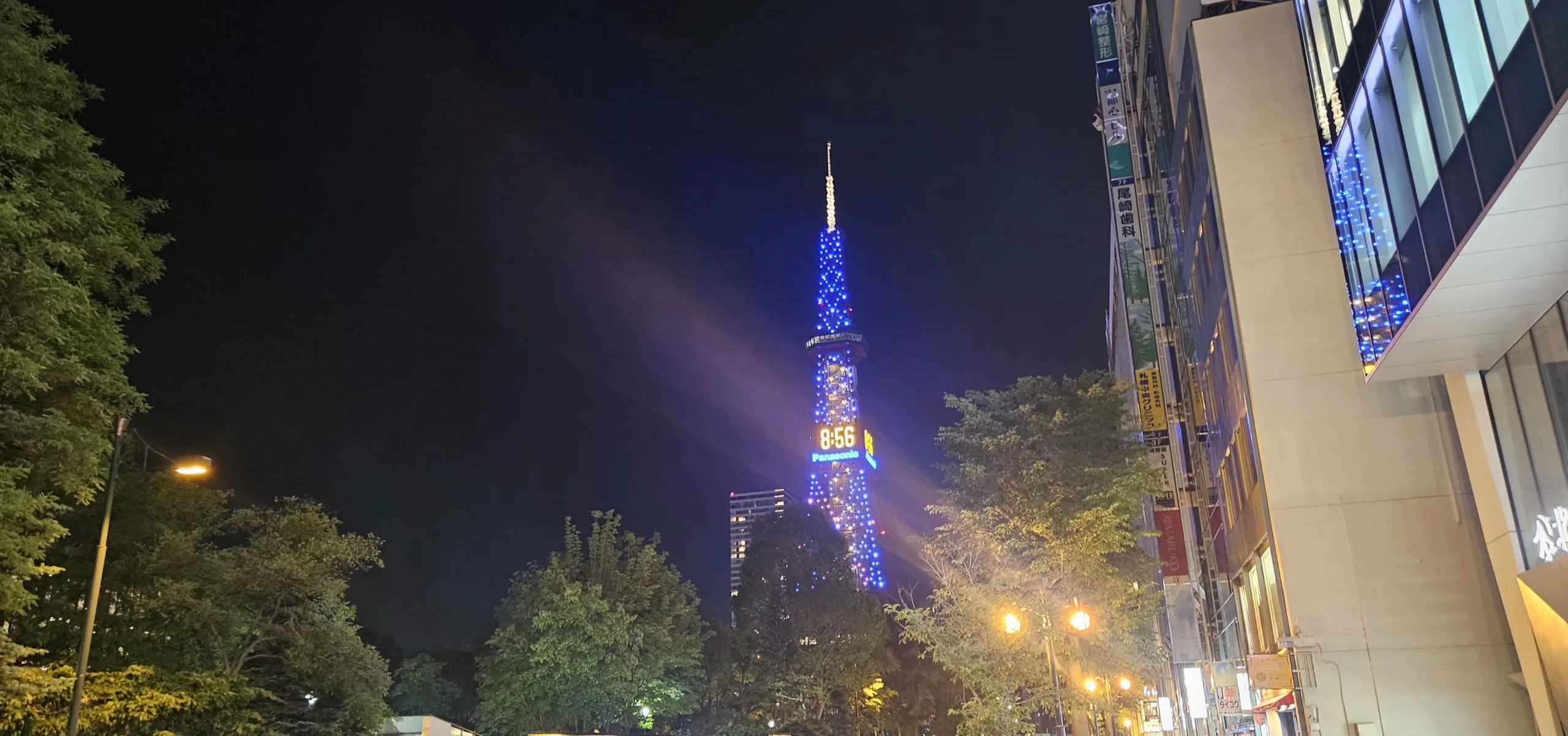 오도리 공원에서 삿포로 TV타워가 보이는 사진